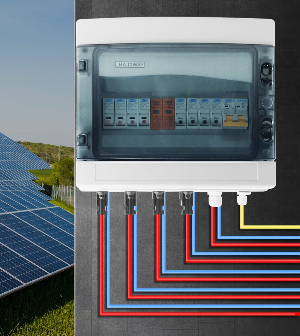 WhatsApp Image 2025-09-30 at 12.06.29 PM (3)